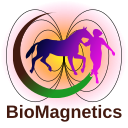 biomagnetics.ch